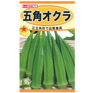 トーホク　野菜の種/種子　オクラ　五角オクラ　内容量7ml　種　（追跡可能メール便発送　全国一律370円）01625　　　