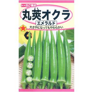 トーホク　野菜の種/種子　オクラ　丸莢オクラ　内容量7ml　種　（追跡可能メール便発送　全国一律370円）02687　　　