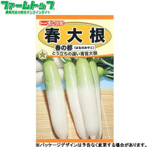 トーホク　野菜の種/種子　大根　春大根　内容量3ml　種　（追跡可能メール便発送　全国一律370円）04771　　　