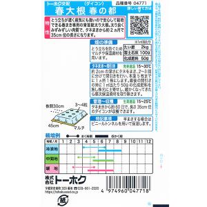 トーホク 野菜の種/種子 大根 春大根 内容量...の詳細画像1