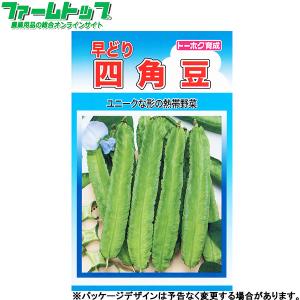 トーホク　野菜の種/種子　早どり四角豆　種　（追跡可能メール便発送　全国一律370円）06350　　　｜farmtop