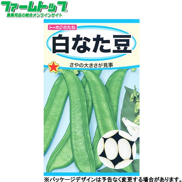 トーホク　野菜の種/種子　白なた豆　種　（追跡可能メール便発送　全国一律370円）06361　　　