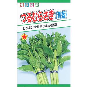 トーホク　野菜の種/種子　つるむらさき（青茎）　内容量2ml　種　（追跡可能メール便発送　全国一律370円）01966　　　