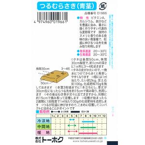 トーホク 野菜の種/種子 つるむらさき(青茎)...の詳細画像1