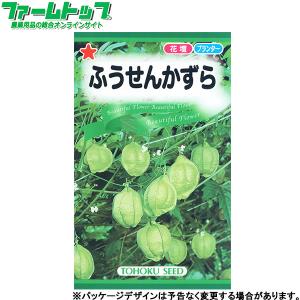 トーホク　花の種/種子　ふうせんかずら　内容量2ml　種　（追跡可能メール便発送　全国一律370円）00790　　　