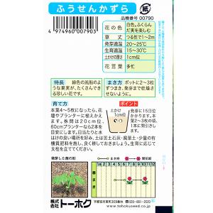 トーホク 花の種/種子 ふうせんかずら 内容量...の詳細画像1