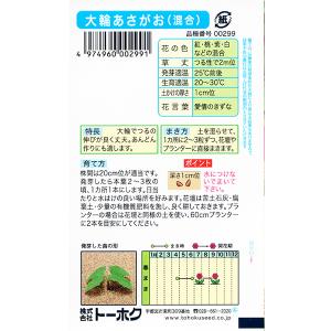 トーホク 花の種/種子 あさがお 大輪あさがお...の詳細画像1