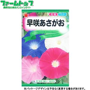 トーホク　花の種/種子　あさがお　早咲あさがお　内容量1.5ml　種　（追跡可能メール便発送　全国一律370円）09543　　　