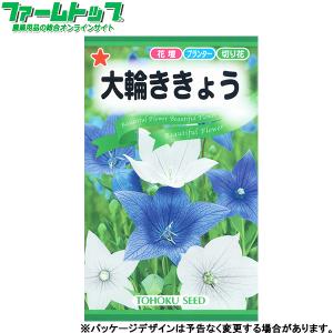 トーホク　花の種/種子　桔梗　大輪ききょう　内容量0.4ml　種　（追跡可能メール便発送　全国一律370円）00600　　　