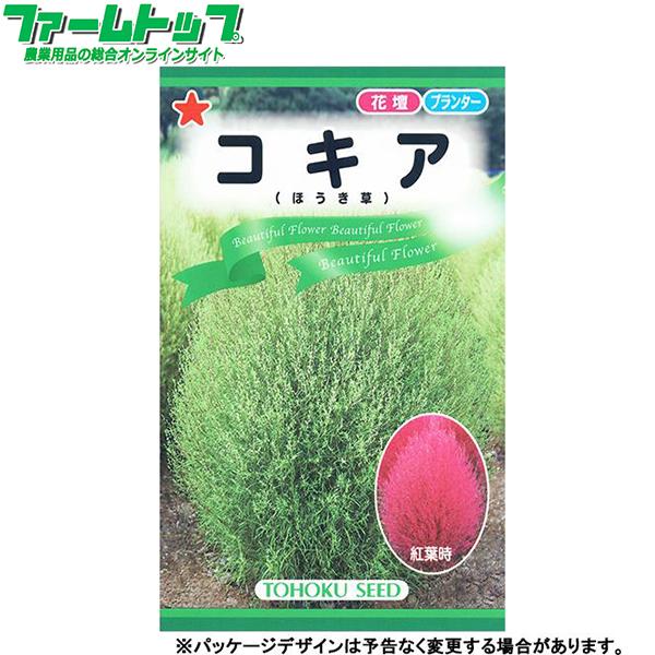 トーホク　花の種/種子　コキア　内容量0.5ml　種　（追跡可能メール便発送　全国一律370円）00...