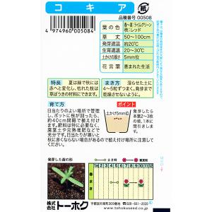 トーホク 花の種/種子 コキア 内容量0.5m...の詳細画像1