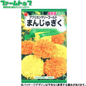 トーホク　花の種/種子　マリーゴールド　アフリカンマリーゴールドまんじゅぎく　内容量4ml　種　（追跡可能メール便発送　全国一律370円）00388　　　