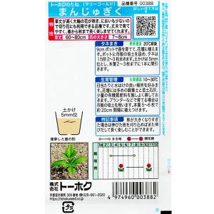 トーホク 花の種/種子 マリーゴールド アフリ...の詳細画像1
