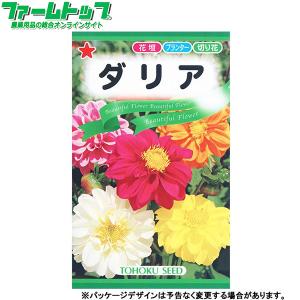 トーホク　花の種/種子　ダリア　内容量1.5ml　種　（追跡可能メール便発送　全国一律370円）00708　　　