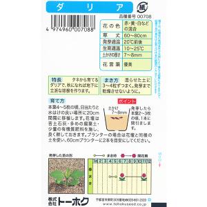 トーホク 花の種/種子 ダリア 内容量1.5m...の詳細画像1