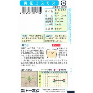 トーホク 花の種/種子 黄花コスモス 内容量2...の詳細画像1