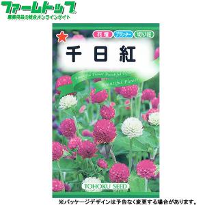 トーホク　花の種/種子　千日紅　内容量0.8ml　種　（追跡可能メール便発送　全国一律370円）00181　　　