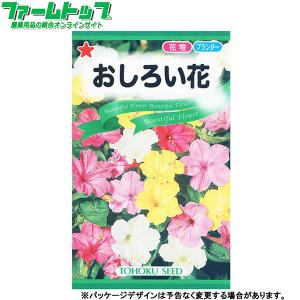 トーホク　花の種/種子　おしろい花　内容量4ml　種　（追跡可能メール便発送　全国一律370円）00486　　　