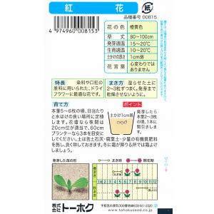 トーホク 花の種/種子 紅花 内容量3ml 種...の詳細画像1