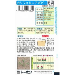 トーホク 花の種/種子 カリフォルニアポピー ...の詳細画像1