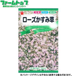 トーホク　花の種/種子　ローズかすみ草　内容量0.5ml　種　（追跡可能メール便発送　全国一律370円）00646　　　
