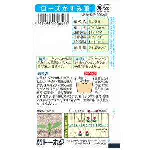 トーホク 花の種/種子 ローズかすみ草 内容量...の詳細画像1