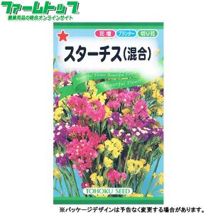 トーホク　花の種/種子　スターチス（混合）　内容量0.2ml　種　（追跡可能メール便発送　全国一律370円）09230　　　