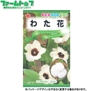トーホク　花の種/種子　わた花　内容量2.5ml　種　（追跡可能メール便発送　全国一律370円）09347　　　