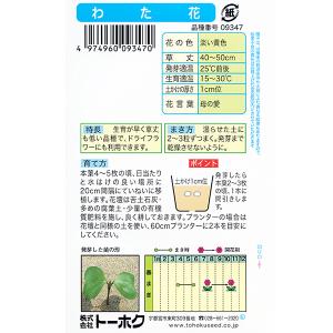 トーホク 花の種/種子 わた花 内容量2.5m...の詳細画像1