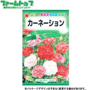 トーホク　花の種/種子　カーネーション　内容量0.5ml　種　（追跡可能メール便発送　全国一律370円）00584　　　