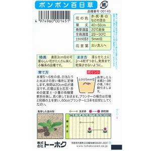トーホク 花の種/種子 百日草 ポンポン百日草...の詳細画像1