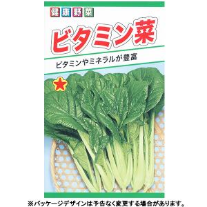トーホク　野菜の種/種子　つけな　ビタミン菜　内容量10ml　種　（追跡可能メール便発送　全国一律370円）05286　　　