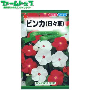 トーホク　花の種/種子　ビンカ（日々草）内容量0.15ml　種　（追跡可能メール便発送　全国一律370円）09276　　　