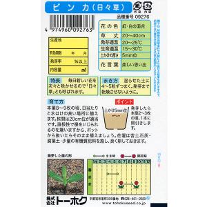 トーホク 花の種/種子 ビンカ(日々草)内容量...の詳細画像1