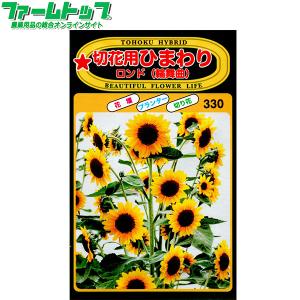トーホク 花の種/種子 ひまわり コンサートベル 内容量2ml 種（追跡
