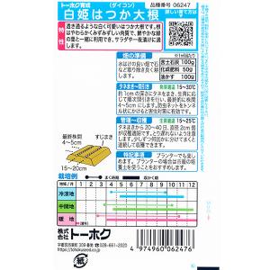 トーホク 野菜の種/種子 だいこん 大根 白姫...の詳細画像1