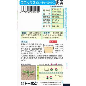 トーホク 花の種/種子 フロックス ビューティ...の詳細画像1
