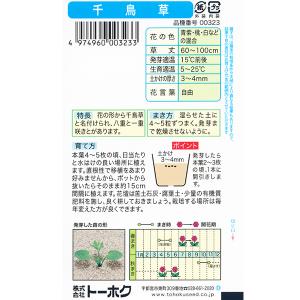 トーホク 花の種/種子 千鳥草 内容量1ml ...の詳細画像1