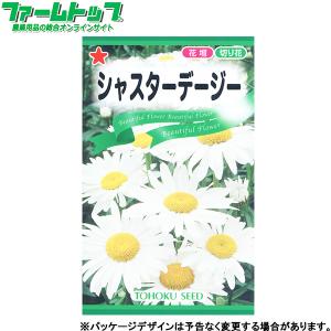 トーホク　花の種/種子　デージー　シャスターデージー　内容量1ml　種　（追跡可能メール便発送　全国一律370円）09141