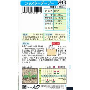 トーホク 花の種/種子 デージー シャスターデ...の詳細画像1