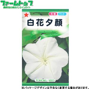トーホク　花の種/種子　あさがお　白花夕顔　内容量4ml　種　（追跡可能メール便発送　全国一律370円）00744　　　