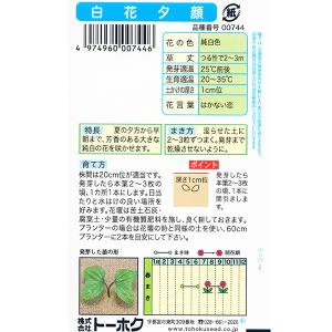トーホク 花の種/種子 あさがお 白花夕顔 内...の詳細画像1