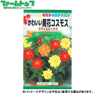 トーホク　花の種/種子　かわいい黄花コスモス　スマイルミックス　内容量2.5ml　種　（追跡可能メール便発送　全国一律370円）09591　　　