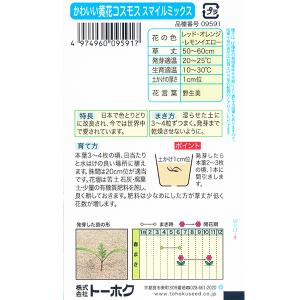 トーホク 花の種/種子 かわいい黄花コスモス ...の詳細画像1