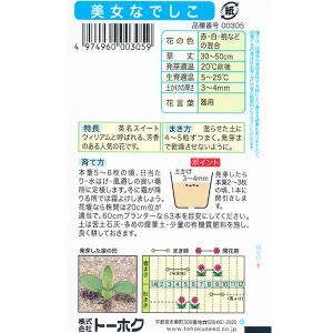 トーホク 花の種/種子 美女なでしこ 内容量1...の詳細画像1