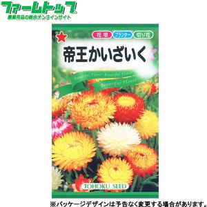 トーホク　花の種/種子　帝王かいざいく　内容量1ml　種 （追跡可能メール便発送　全国一律370円）00225