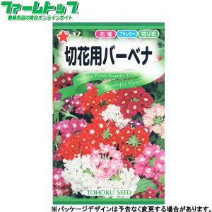 トーホク　花の種/種子　バーベナ　切花用バーベナ　内容量0.5ml　種　（追跡可能メール便発送　全国一律370円）00904