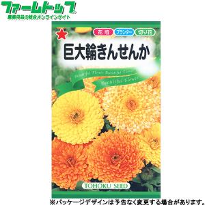 トーホク　花の種/種子　巨大輪きんせんか　内容量3ml　種 （追跡可能メール便発送　全国一律370円）00243