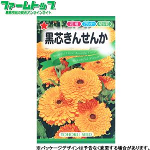 トーホク　花の種/種子　黒芯きんせんか　内容量3ml　種 （追跡可能メール便発送　全国一律370円）00252