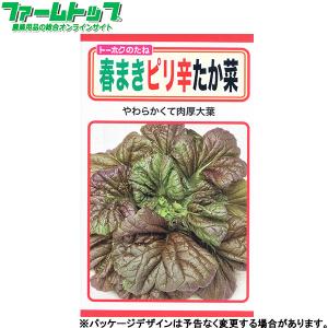 トーホク　野菜の種/種子　高菜　春まきピり辛たか菜　内容量10ml　種　（追跡可能メール便発送　全国一律370円）05449　　　